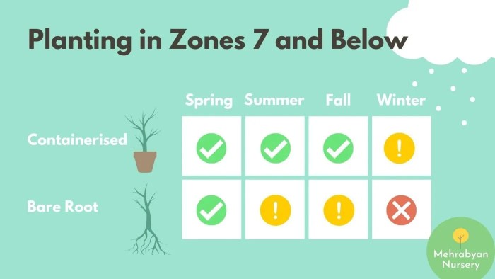 When to plant fruit trees in michigan