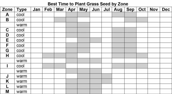 When to plant grass seed