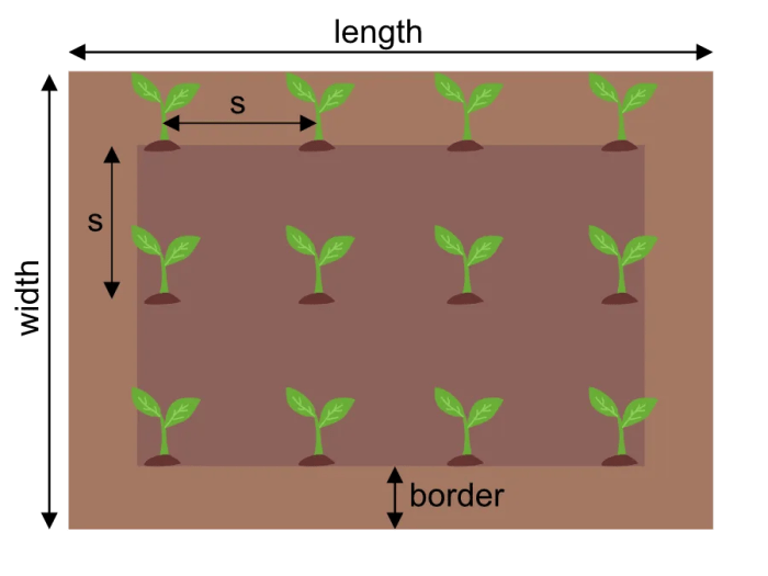 How far apart should you plant trees